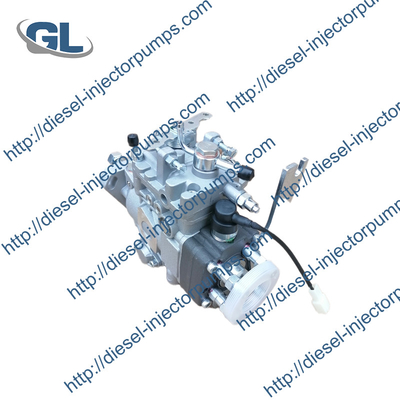 Buen precio bomba de combustible bomba de combustible eléctrica Universal 104642-7311 1046427311 VE4/12F1225RNP2139 12990451000 para YANMAR4TNE92